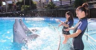 Parc zoologique marin Selwo Marina