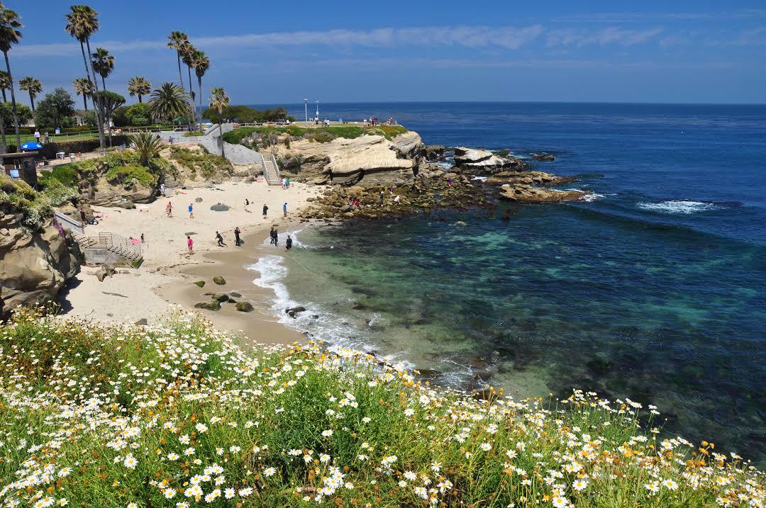 Crique La Jolla Cove