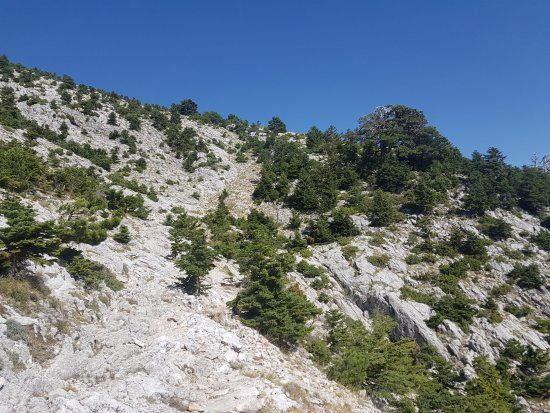 Mount Taygetos