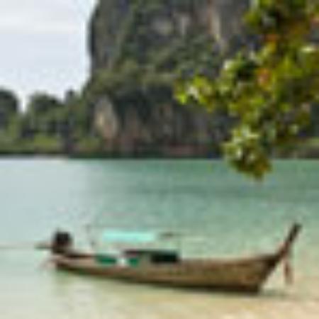 J. Multari Californie