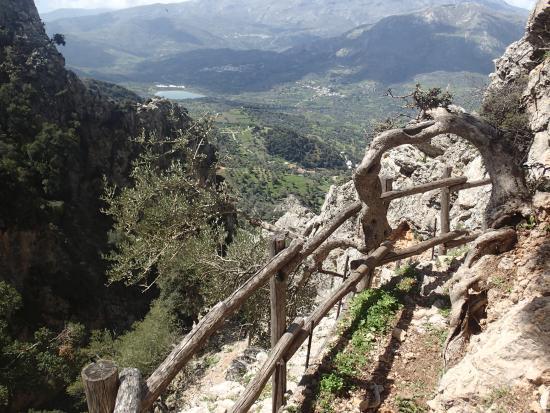 Platania Gorge