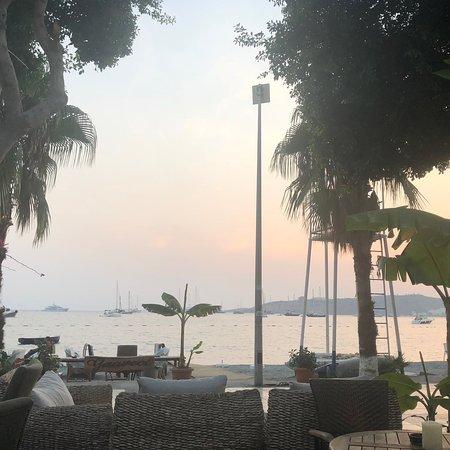 Gaaveci Bodrum