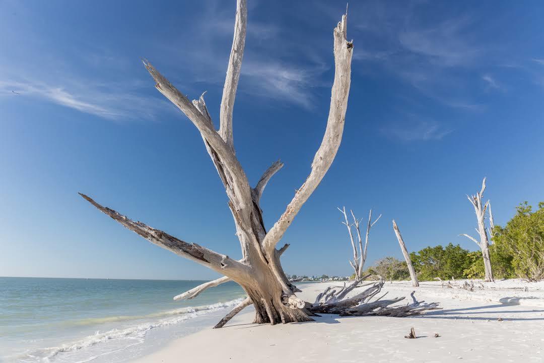 Parc d'état de Lovers Key