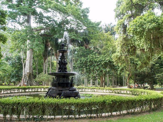 Jardin Botanique de Rio de Janeiro