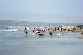 Plage de Dog Beach