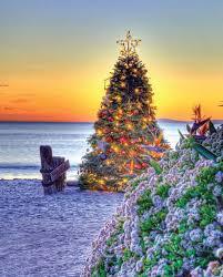 Crystal Cove State Park