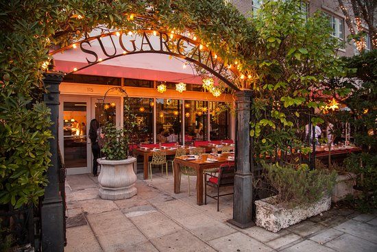 Sugarcane