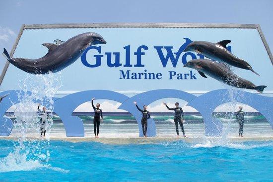 Parc aquatique Gulf World Marine Park