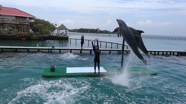 Centre océanographique des îles du Rosaire