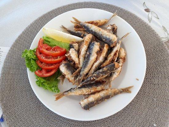 Akti Cafe Restaurant