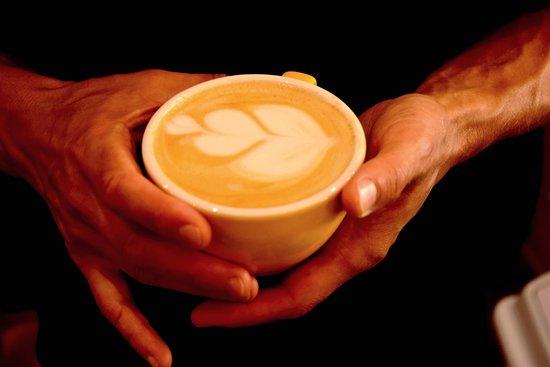 Ladybug Coffee Roasters