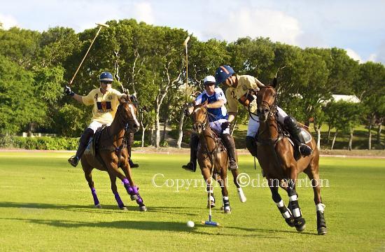 Barbados Polo Club