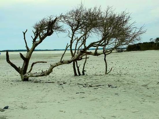 Parc du comté de Folly Beach