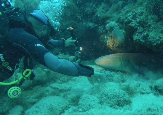 Diving Dominican Republic