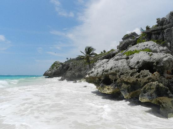Riviera Maya Adventures