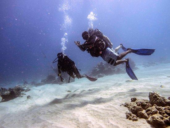 Just Diving