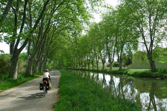 Thau Bike 34
