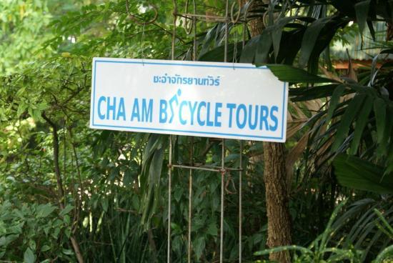 Cha am Bicycle Tours