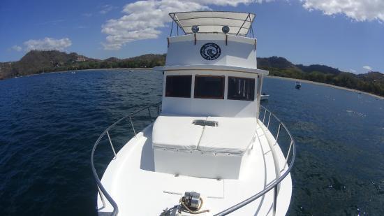 Single Fin Surf Charters