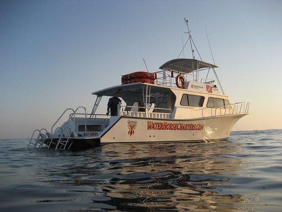 Waterhorse Charters