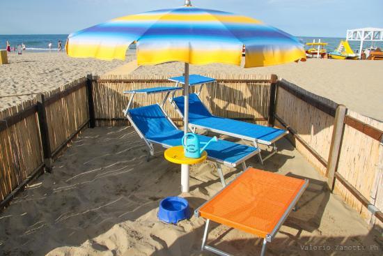 Rimini Dog No Problem