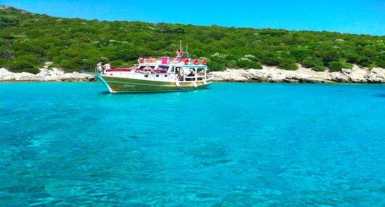 Bayside and Tora Boat Tours
