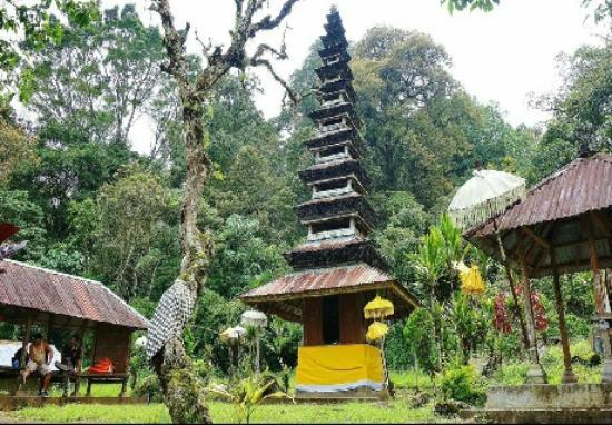 Bali Jungle Trekking - Private Day Tours