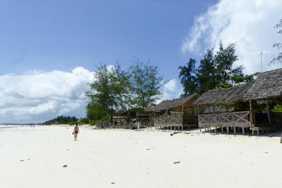 Kite Dream Zanzibar