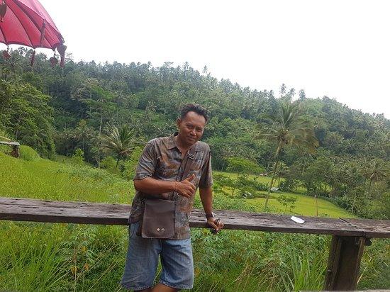 Buddy Bali