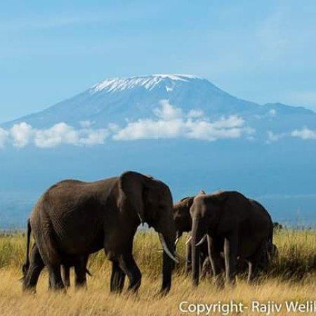 Dima Africa Safaris