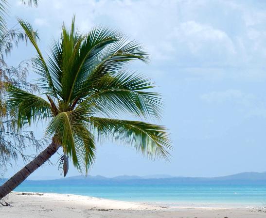 Whitsunday Tours