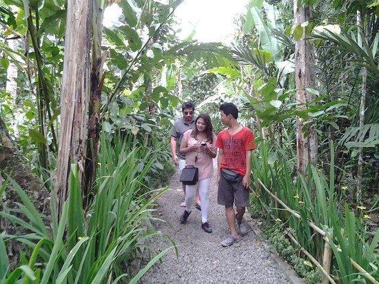 Happy Bali Tours