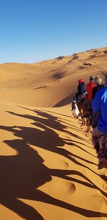 True Sahara