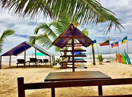 Sun Surf Paradise