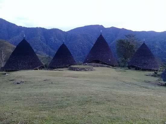 Go Bali Komodo