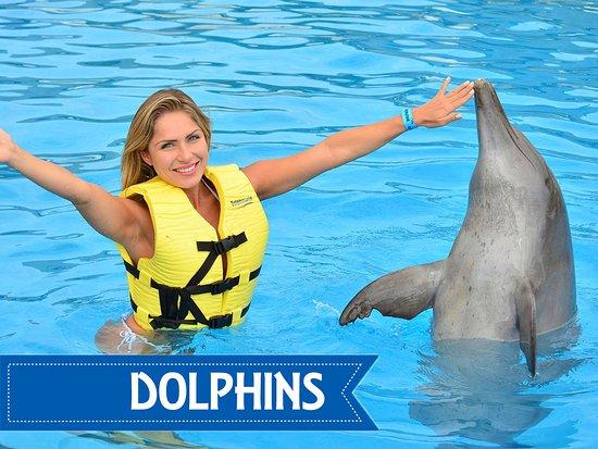 Caribbean Maya Travel & Tours