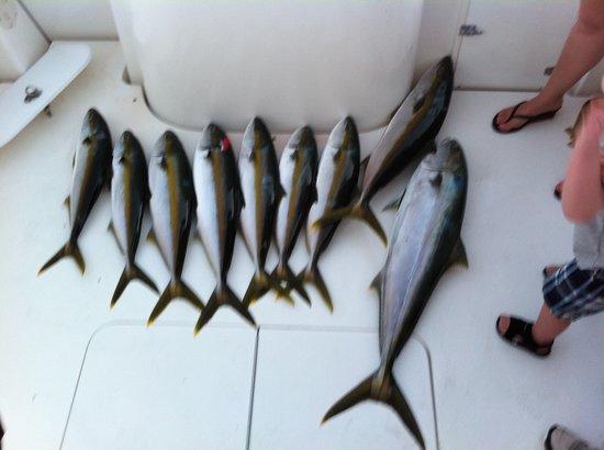 Mona Lisa Charters