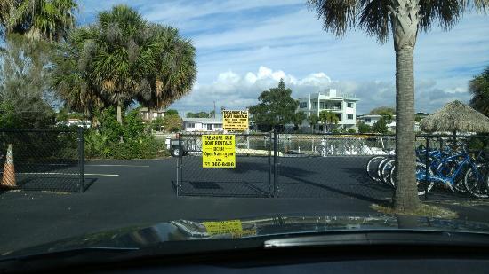 Dolphin Marine Rentals