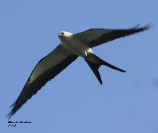 Loxahatchee Slough Natural Area