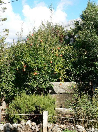 Musée Malacologique