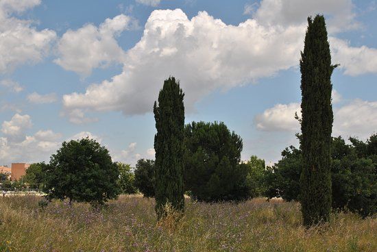 le parc archéologique de Centocelle