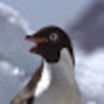 Beachside Bagel & Subs