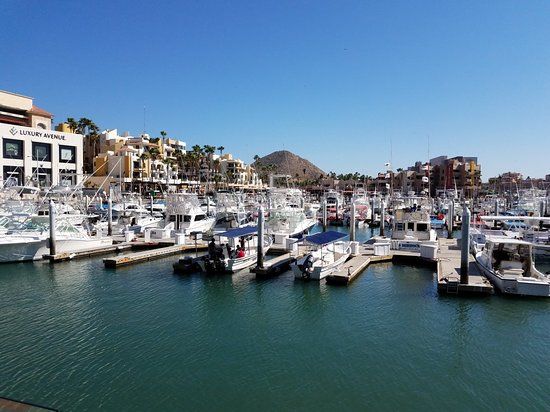 Port de plaisance de Cabo San Lucas