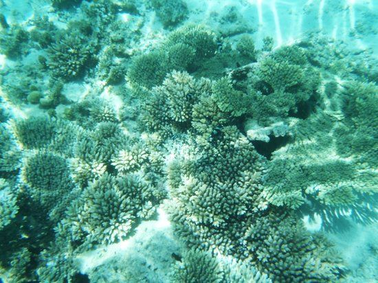 Blue Bay Marine Park