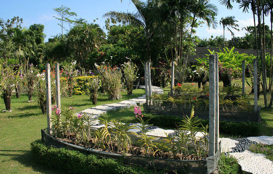 Jardin des orchidées de Bali