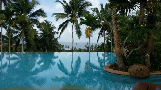 Jasmine Bay