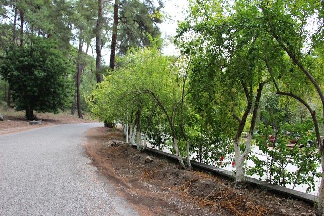 Musée archéologique de Phaselis