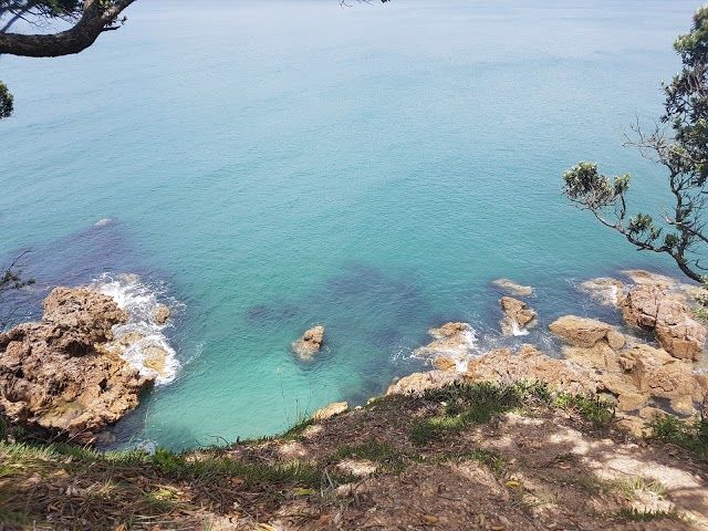 Orokawa Scenic Reserve
