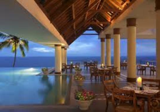 The Terrace