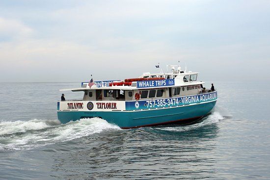 Virginia Aquarium and Marine Science Center